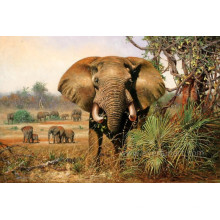 Hand Painted Elephant Painting on Canvas